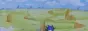 soniccd