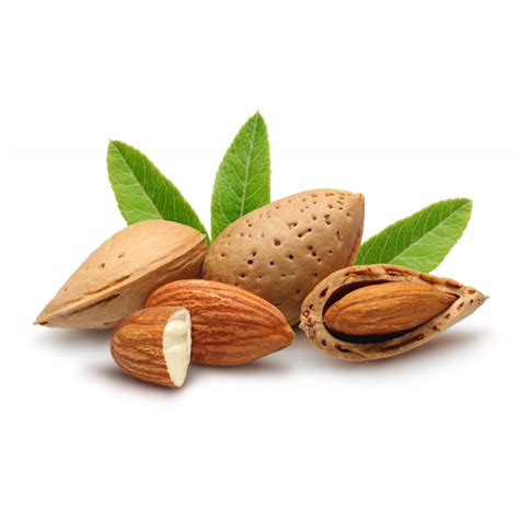 five almonds with leaves, one almond cut in half, two still in their shells and one with half a shell