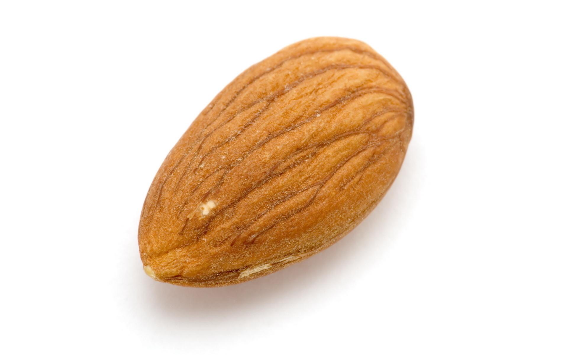 A singular almond by itself, with no almond friends